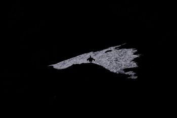 Marco Kohli | Birkhuhn