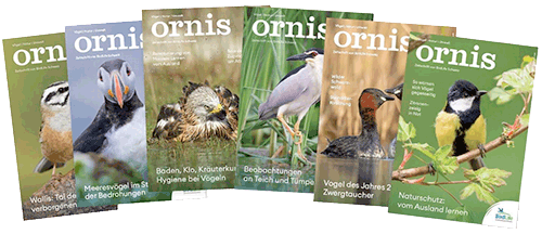 Ornis